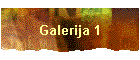 Galerija 1