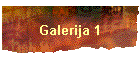 Galerija 1