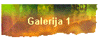 Galerija 1